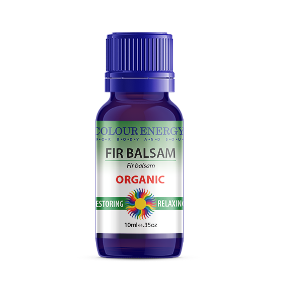 Fir Balsam Essential Oil, Organic
